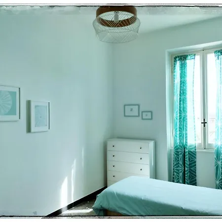 Monilia * 莫内利亚